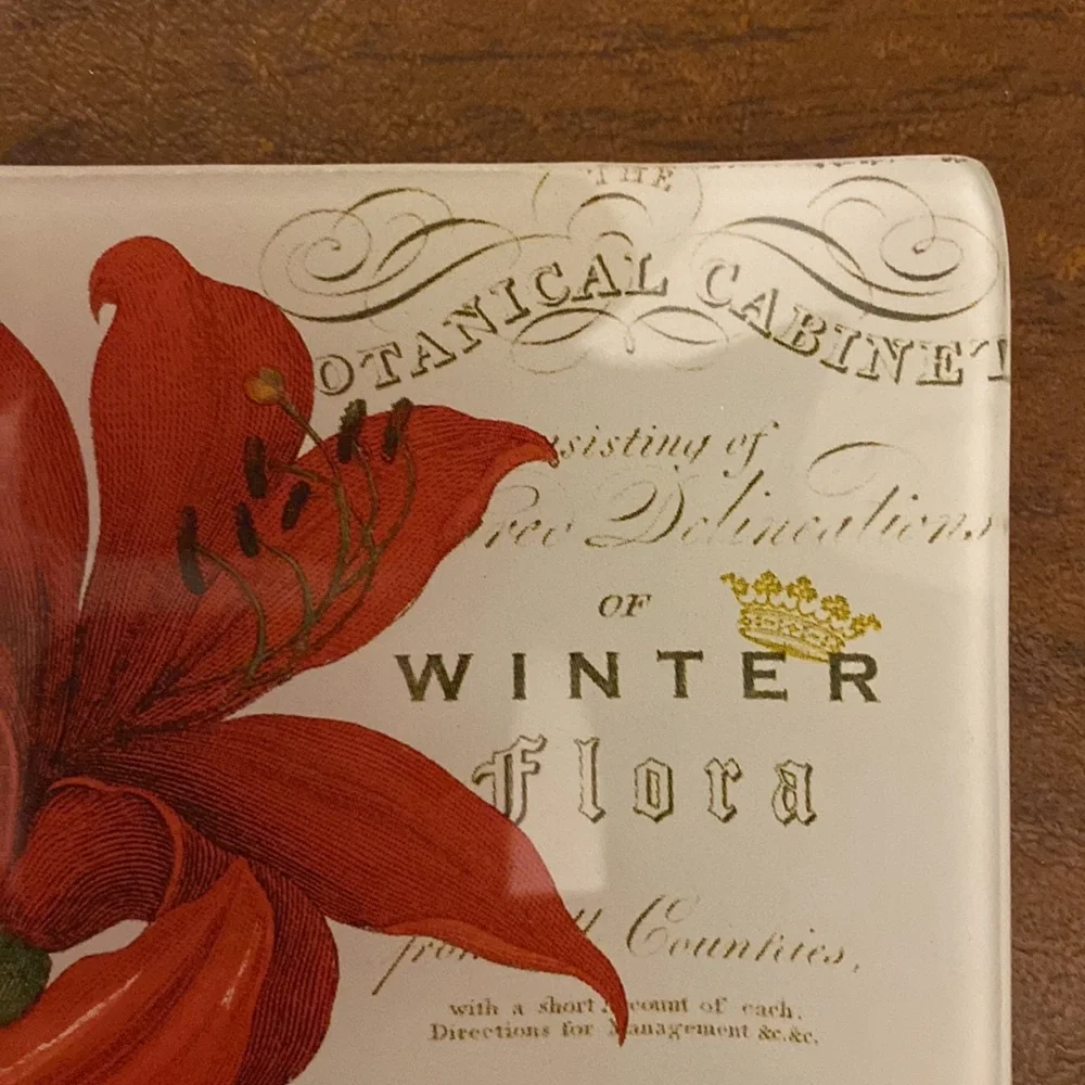 ❌Donated❌Small “Winter Botanical” Dish - Picture 8 of 8